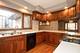 336 S Harvey, Oak Park, IL 60302
