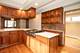 336 S Harvey, Oak Park, IL 60302