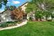 4514 Schwartz, Lisle, IL 60532