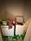 5905 W Corcoran Unit 1W, Chicago, IL 60644
