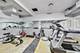 811 S Lytle Unit 301, Chicago, IL 60607