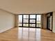 3001 S Michigan Unit 507, Chicago, IL 60616