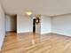 3001 S Michigan Unit 507, Chicago, IL 60616