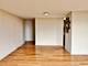 3001 S Michigan Unit 507, Chicago, IL 60616