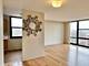 3001 S Michigan Unit 507, Chicago, IL 60616