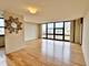 3001 S Michigan Unit 507, Chicago, IL 60616
