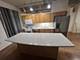 1525 S Sangamon Unit 317-P, Chicago, IL 60608