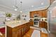 4141 N Kedzie Unit 405, Chicago, IL 60618