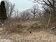 509 Oxford, Lockport, IL 60441