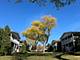167 E Palatine Unit P, Palatine, IL 60067