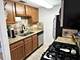 167 E Palatine Unit P, Palatine, IL 60067