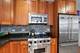 3932 S Lake Park Unit 2S, Chicago, IL 60653