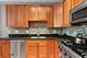 3932 S Lake Park Unit 2S, Chicago, IL 60653