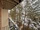 379 Wilmington Unit B, Bartlett, IL 60103