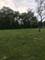 10855 W 153rd, Orland Park, IL 60467