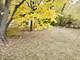 533 Surryse, Lake Zurich, IL 60047