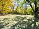 533 Surryse, Lake Zurich, IL 60047