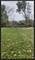 140 S Lyle, Elgin, IL 60123