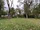 197 Washington, Park Forest, IL 60466