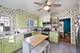 350 Vandalia, Elgin, IL 60123