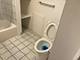 1503 N Pulaski, Chicago, IL 60651