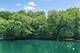 910 St Stephens Green, Oak Brook, IL 60523