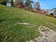16224 Cicero, Oak Forest, IL 60452