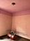 5716 S Indiana, Chicago, IL 60637