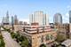 1720 S Michigan Unit 801, Chicago, IL 60616