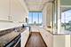 1720 S Michigan Unit 1708, Chicago, IL 60616