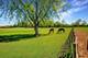 15917 Kishwaukee Valley, Woodstock, IL 60098