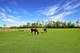 15917 Kishwaukee Valley, Woodstock, IL 60098