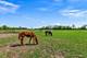 15917 Kishwaukee Valley, Woodstock, IL 60098