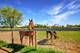 15917 Kishwaukee Valley, Woodstock, IL 60098
