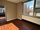 860 N Dewitt Unit 1901, Chicago, IL 60611