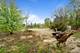 16045 W 139th, Homer Glen, IL 60491