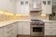 510 W Erie Unit 906, Chicago, IL 60654