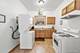 3305 S Bell, Chicago, IL 60608