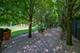 930 E Rosemary, Lake Forest, IL 60045