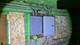 3906 W Monroe, Chicago, IL 60624