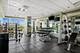 1201 S Prairie Unit 3602, Chicago, IL 60605