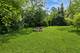 295 S Walnut, South Elgin, IL 60177