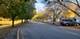 350 W Hamilton, Palatine, IL 60067