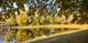 350 W Hamilton, Palatine, IL 60067