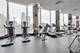 535 N Michigan Unit 2516, Chicago, IL 60611