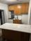 5151 S Troy, Chicago, IL 60632