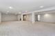 13342 Callan, Orland Park, IL 60462