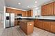 13342 Callan, Orland Park, IL 60462