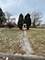 15036 Western, Harvey, IL 60426