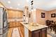 1002 Tuscany, Streamwood, IL 60107